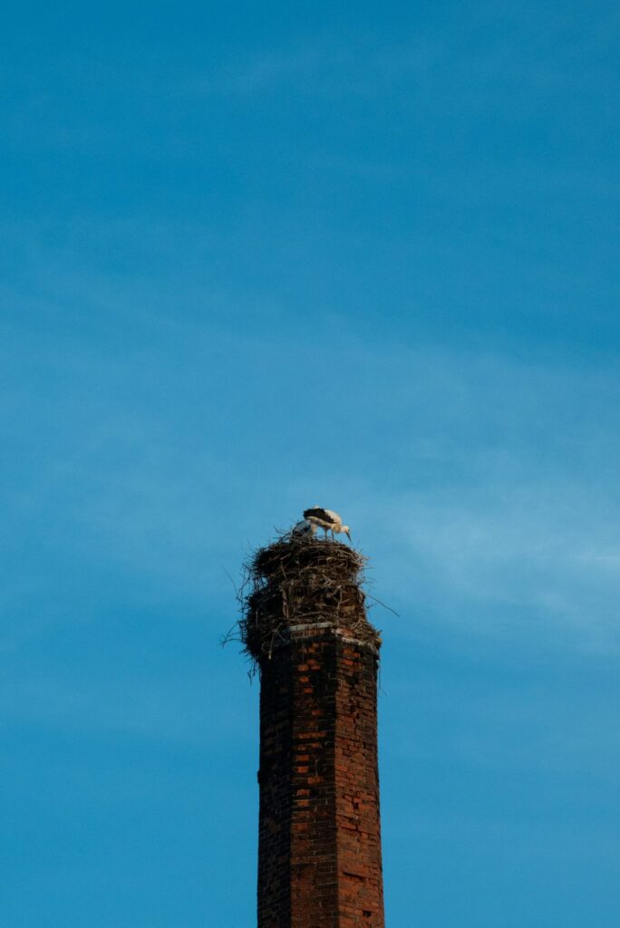 Une cigogne sur son nid, au sommet d’une haute cheminée de brique, ciel bleu